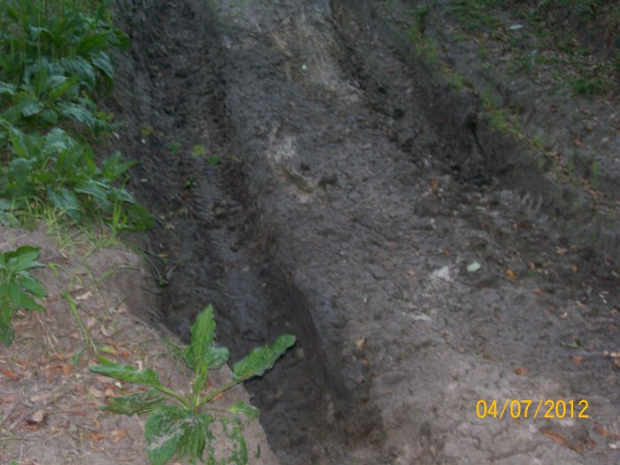 2012-Apr-07HGR4X4_nightride 035